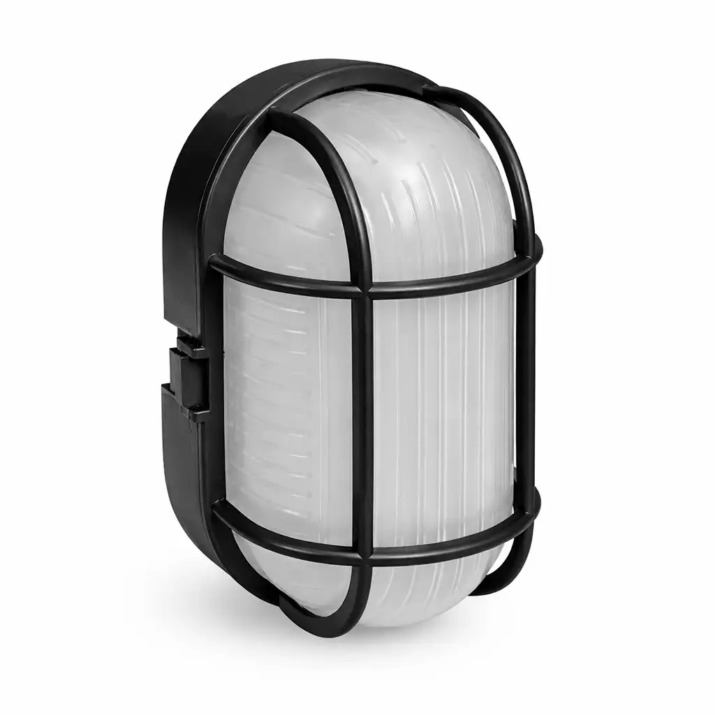 ابليك عين بقره كبير اسود